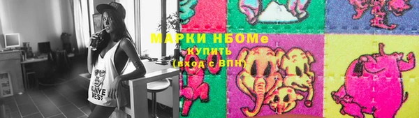 прущие грибы Абаза