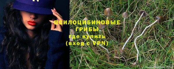 прущие грибы Абаза