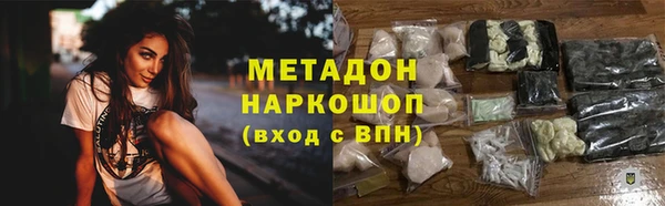 прущие грибы Абаза