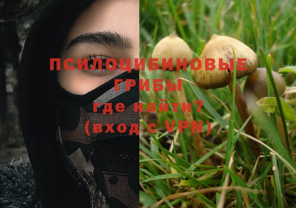 ПСИЛОЦИБИНОВЫЕ ГРИБЫ Абдулино