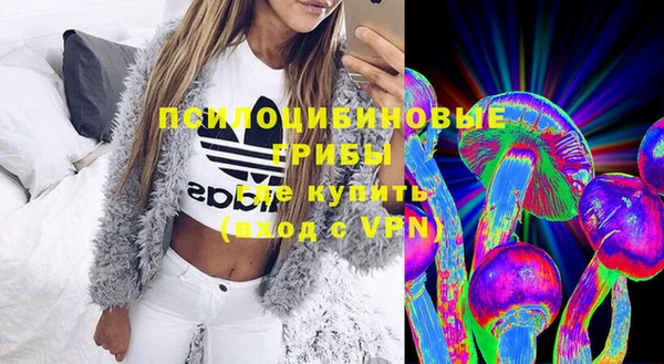 ПСИЛОЦИБИНОВЫЕ ГРИБЫ Абдулино